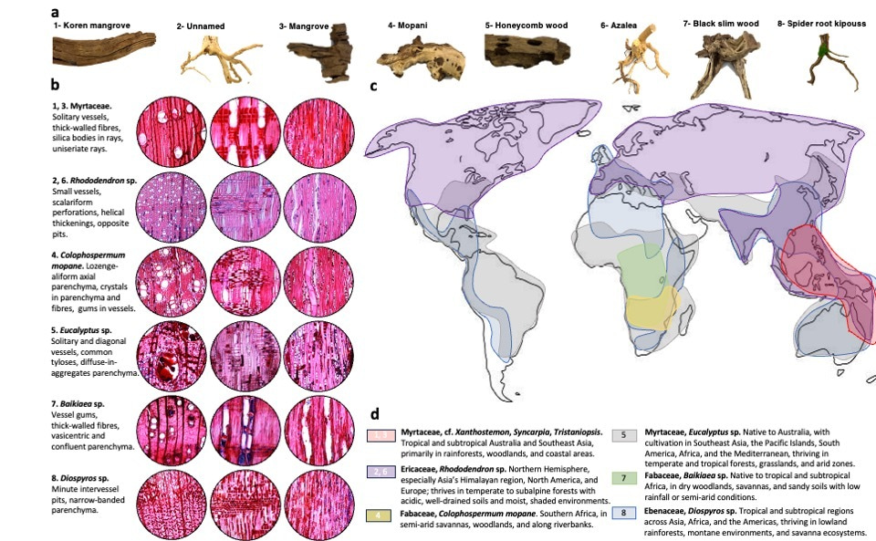 The aquarium shop discovery