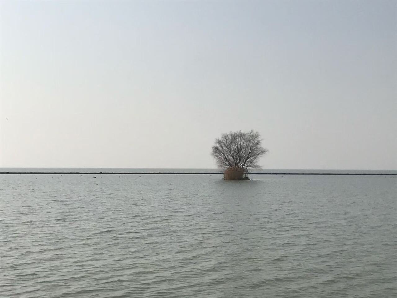 Persevering Through a Decade to Decode China’s Aerosol Puzzle