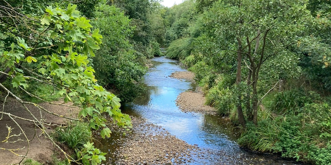 Uncovering the hidden microbial life of river biofilms