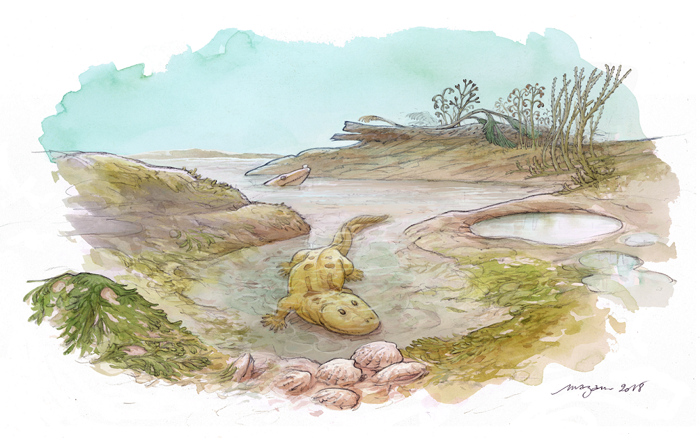 Questioning the living environment of early tetrapods:  A tale of delta(s).