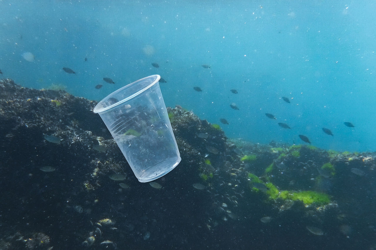 When bioplastics meet the sea: microbes, viruses and their effects