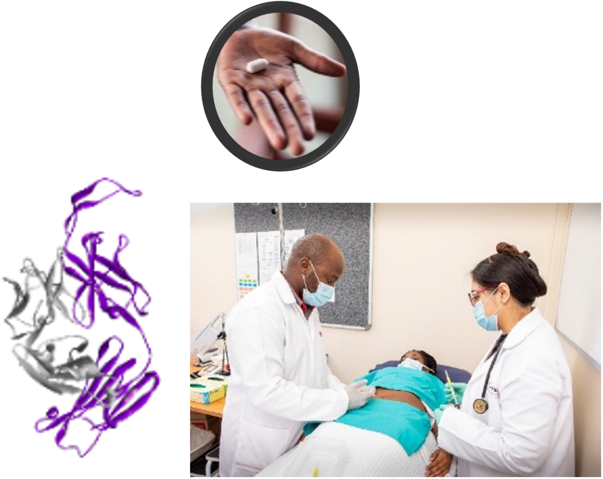 A World AIDS Day Journey with Broadly Neutralizing Antibodies: Behind Our Review