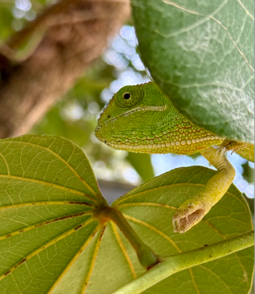 Go to the profile of Michelle Carter