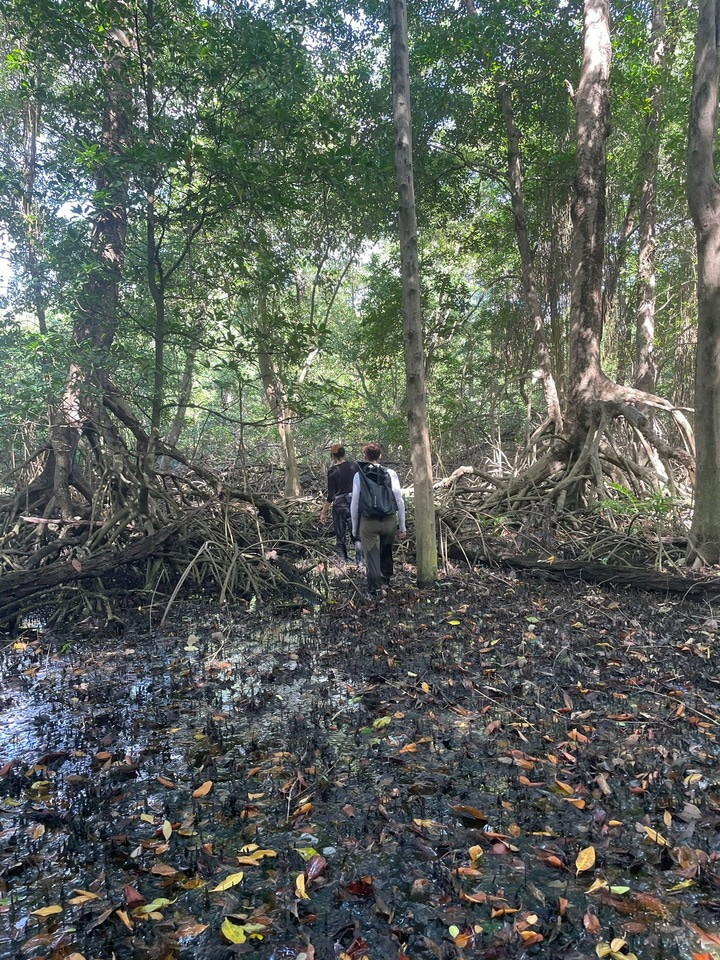 Grants for exploration & research