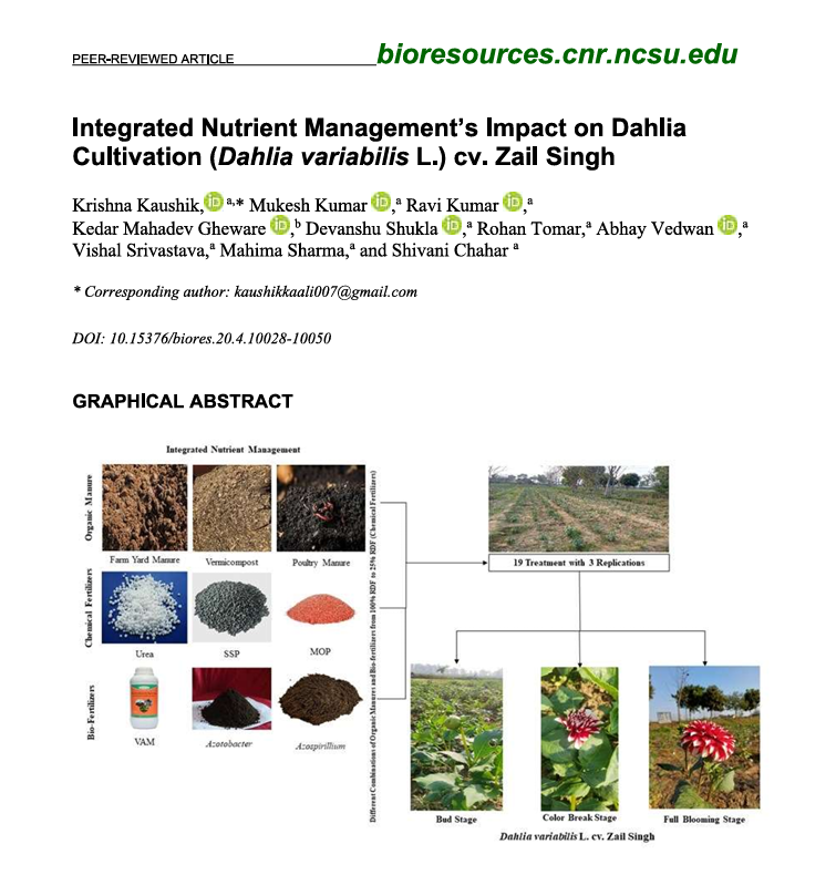 How Integrated Nutrient Management Improves Dahlia Growth, Flower Quality, and Soil Health