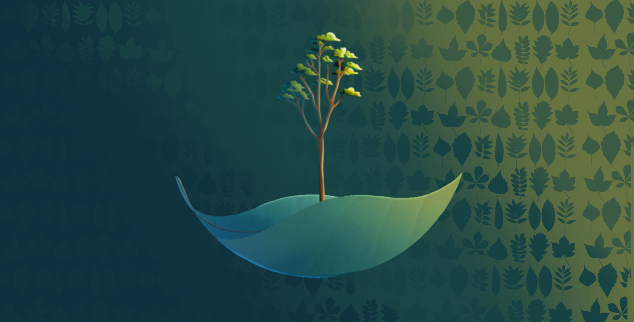 Understanding leaf variability within tree species