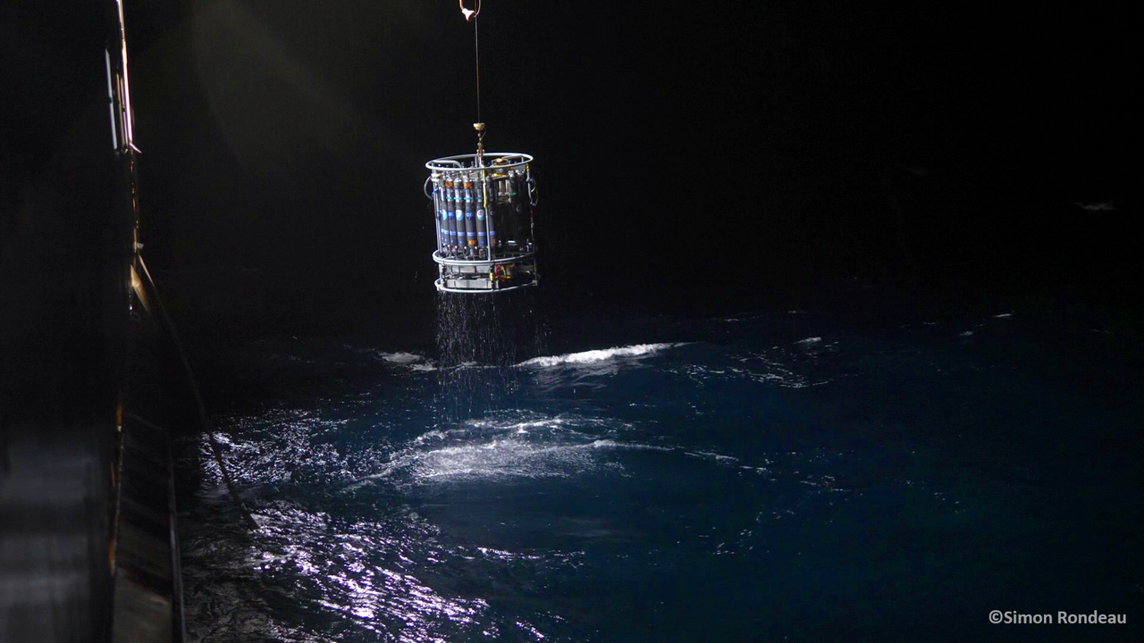 Distinct contributions of suspended and sinking prokaryotes to mesopelagic carbon budget