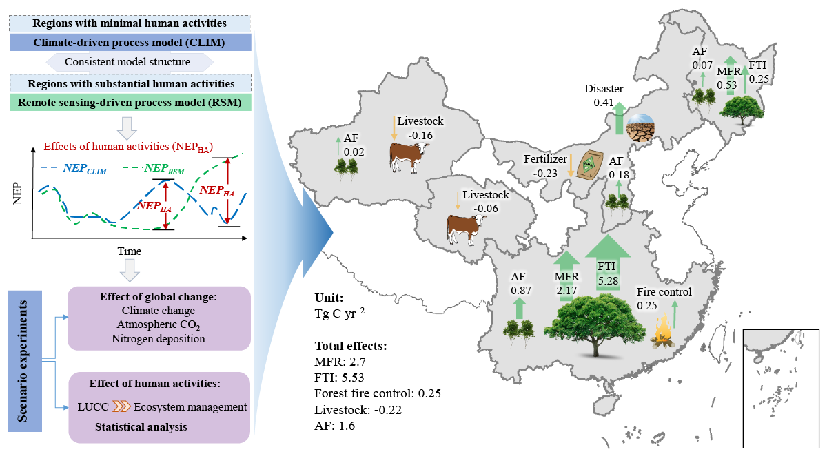 Management Over Afforestation: The Little-Known Story Behind China’s Surge in Forest Carbon Sinks