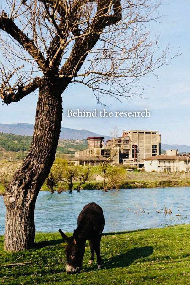 What Flight Data Reveals About Hidden Carbon Efficiency in Aviation — And Why It Matters