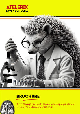 Atelerix Brochure
