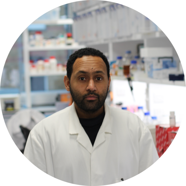 Go to the profile of Fauzy Negiub Ali Nasher