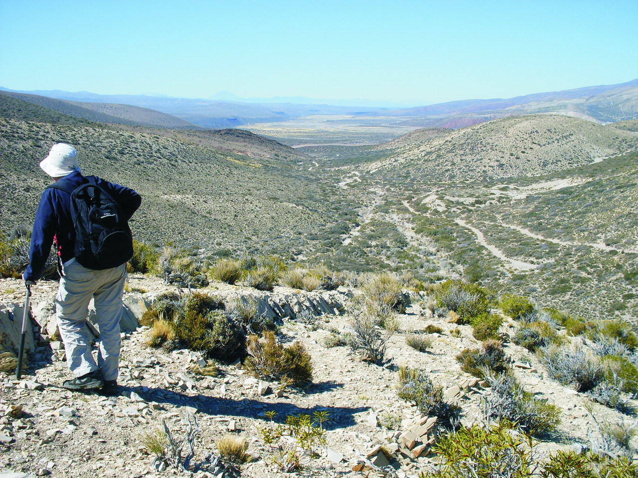 When fieldwork surprises you: the challenge of studying an unexpected fossil periostracum