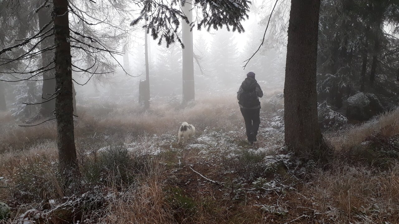 Two Weeks Before Snow: Building a 288-Site Microclimate Network in National Park on Foot