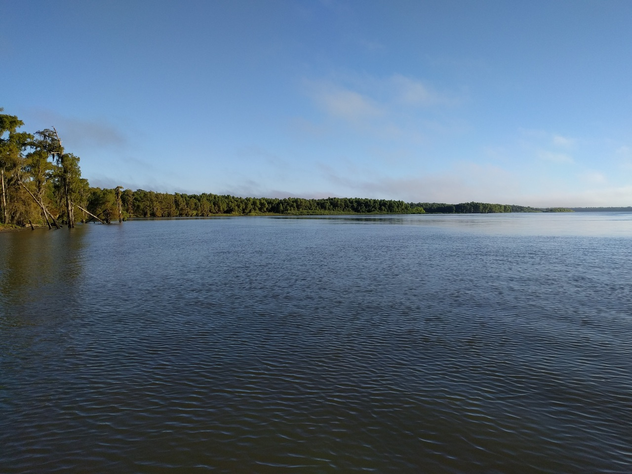 Tidal Rivers: Observing the Extent of Ocean Tides in Coastal Rivers