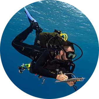 Go to the profile of Shahar Chaikin