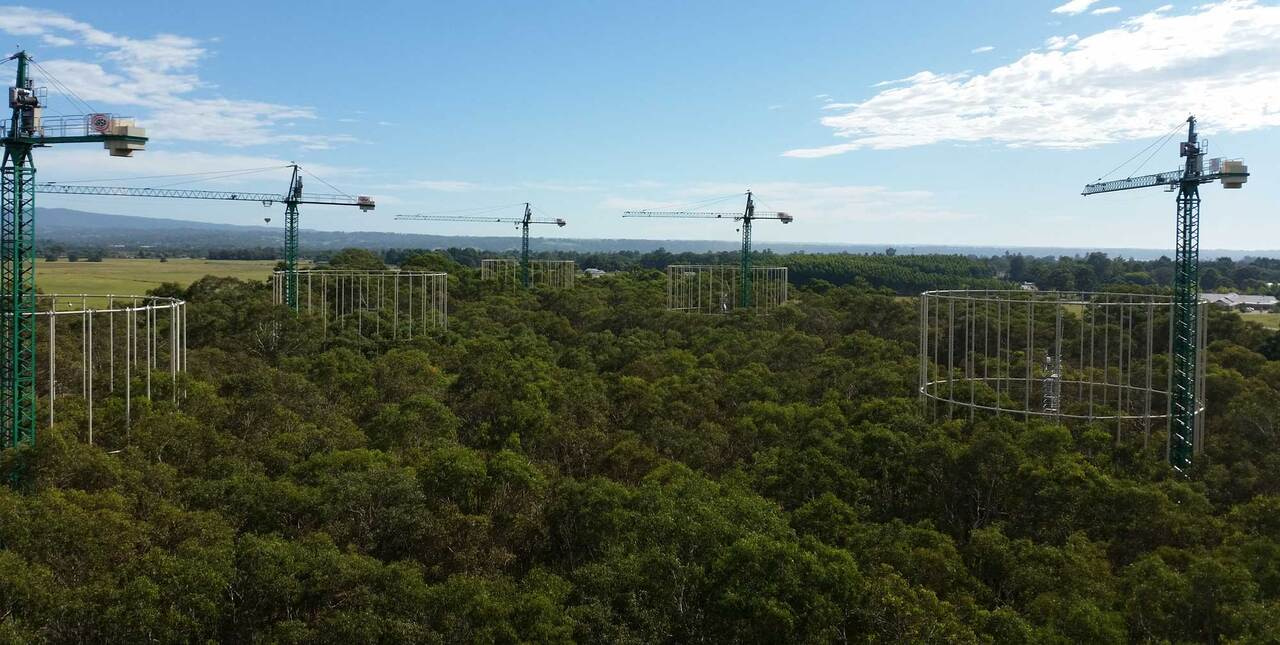 Could soil decomposer microbes determine the ecosystem response to rising atmospheric CO2? 