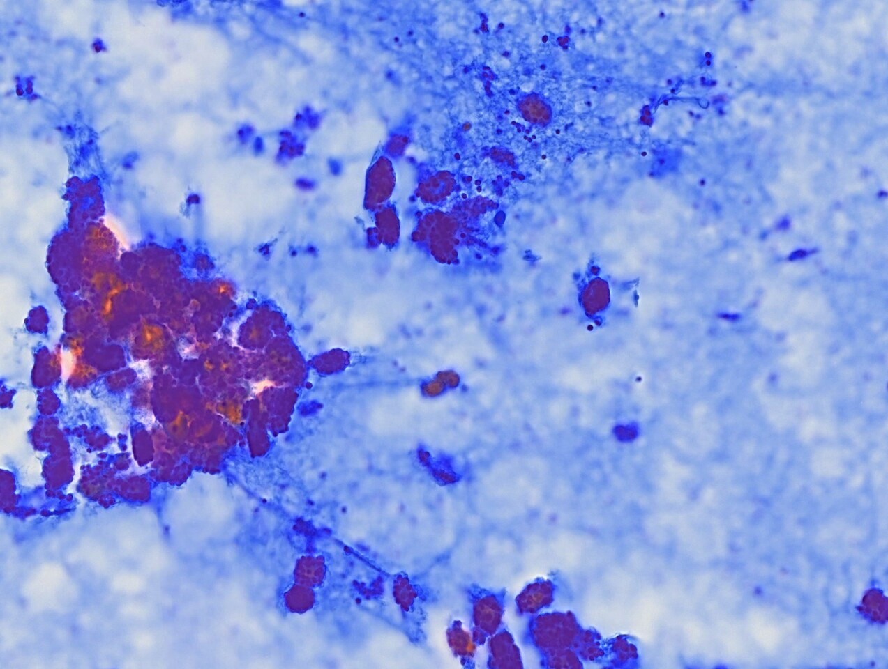 From measuring cells to making cytology more transparent