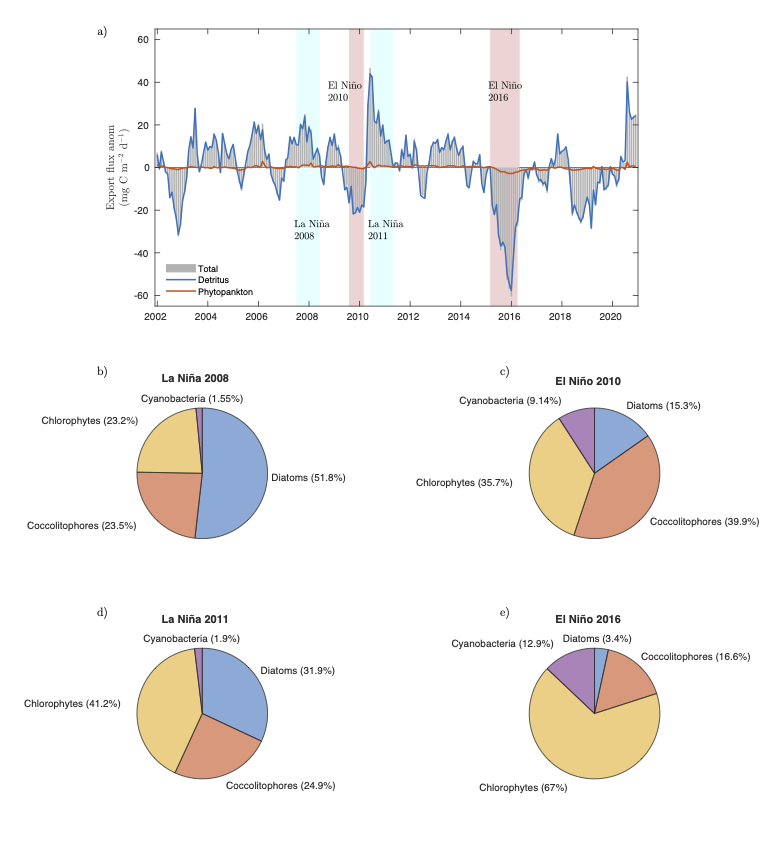 Extreme heatwaves and ocean biology