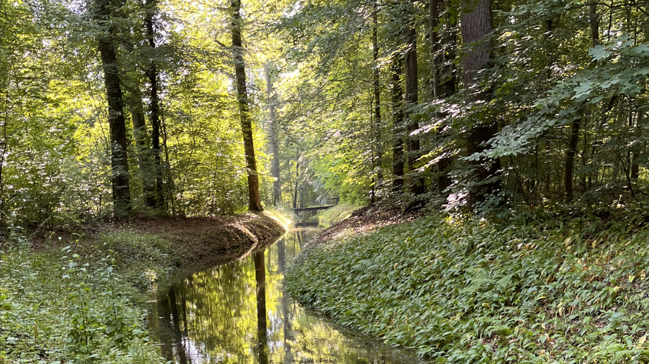 Nuclear Power Plants Release Powerful Environmental Tracers