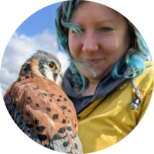 Go to the profile of Rosemary Chalmers