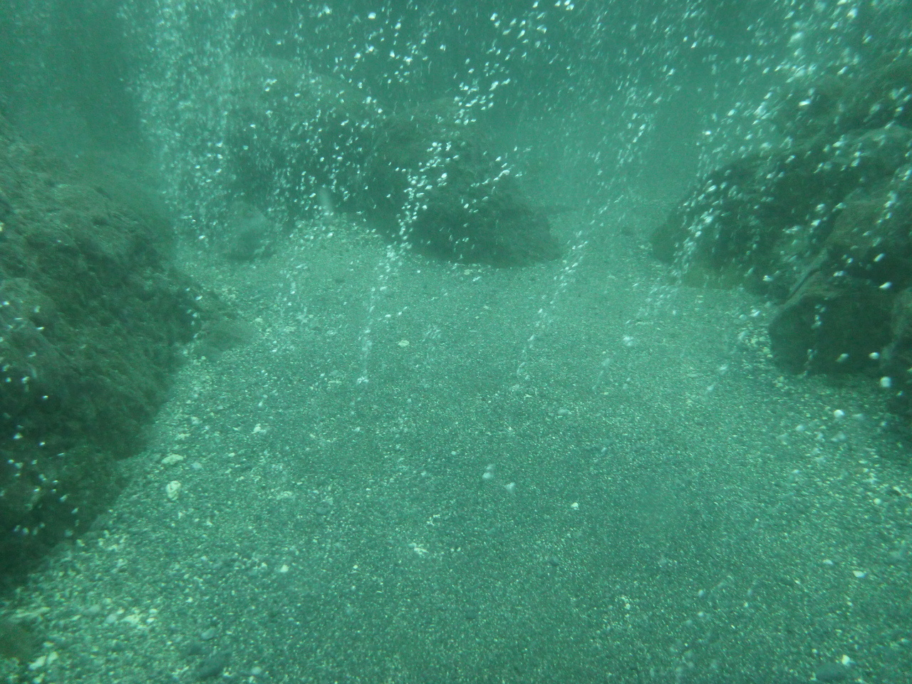 Tracing ancient carbon through a hydrothermal ecosystem