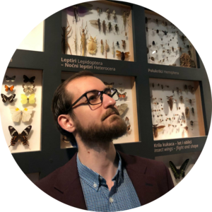 Go to the profile of Niko Kasalo