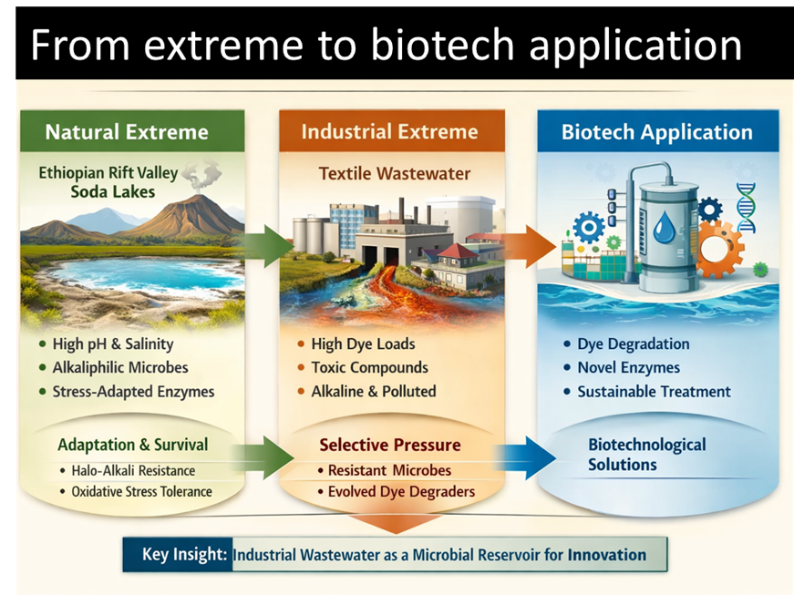 Harnessing Microorganisms from Natural and Anthropogenic Extreme Environments for Wastewater Remediation