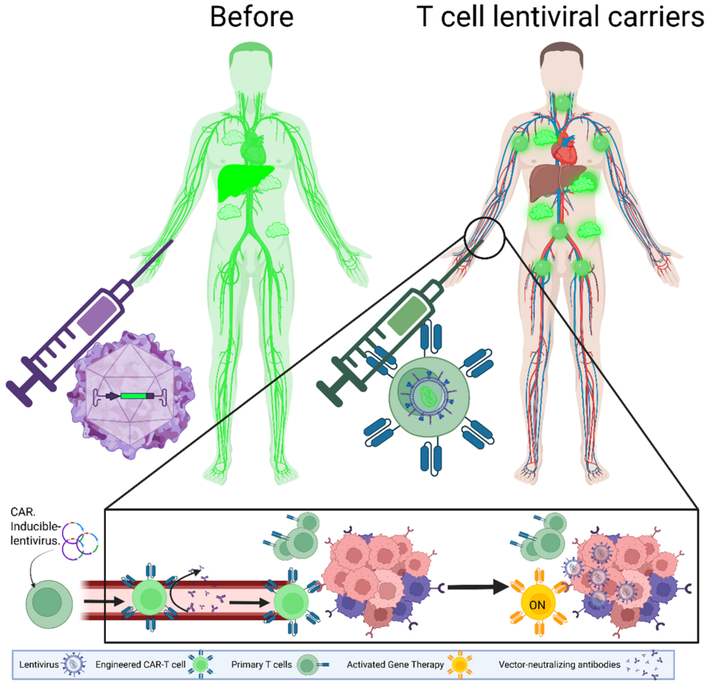 Gene therapists of tumors: turning T cells into local delivery micromachines