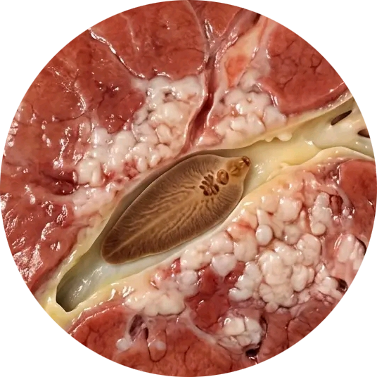 Go to the profile of Carlos Álvarez