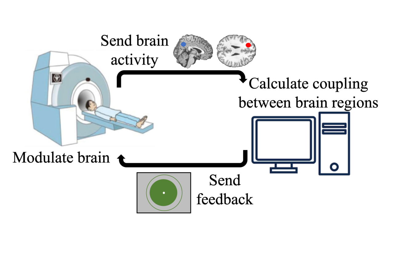 Paving the way for precision treatment of psychiatric symptoms with functional connectivity neurofeedback