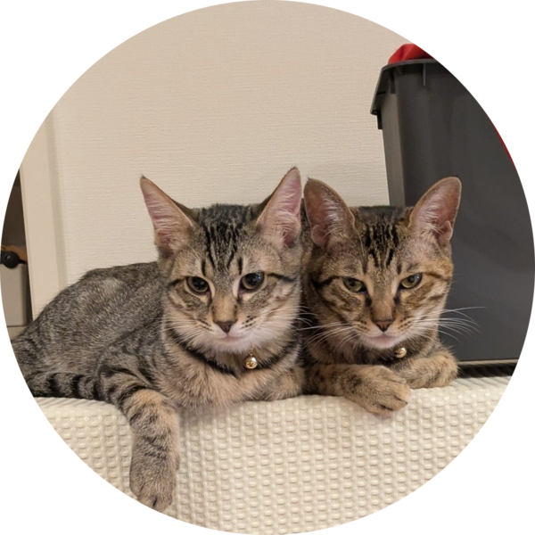 Go to the profile of Kenichi Iwasa