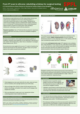 From CT scan to silicone: rebuilding a kidney for surgical testing