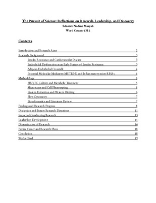 Research Report: Reflections on Research, Leadership, and Discovery