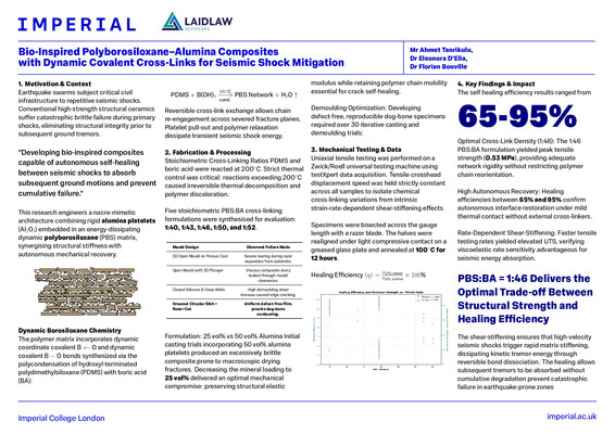 Laidlaw Research Poster