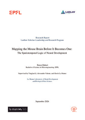 Research Report