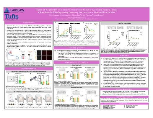 Research Poster: Impact of the Deletion of Tumor Necrosis Factor Receptor-Associated Factor 3 (Traf3)   in Parvalbumin (PV)-Expressing Inhibitory Interneurons in Male and Female Mice