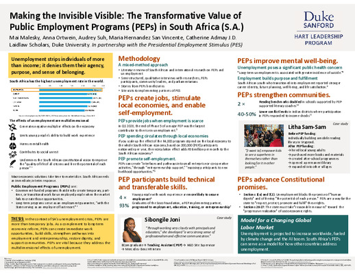 Research Poster: The Transformative Value of Public Employment Programs in South Africa