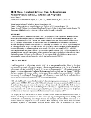 TET2-Mutant Hematopoietic Clones Shape the Lung Immune Microenvironment in NSCLC Initiation and Progression