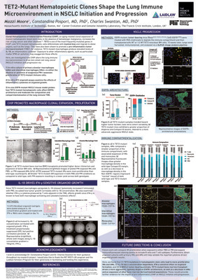 TET2-Mutant Hematopoietic Clones Shape the Lung Immune Microenvironment in NSCLC Initiation and Progression
