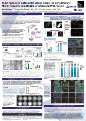 TET2-Mutant Hematopoietic Clones Shape the Lung Immune Microenvironment in NSCLC Initiation and Progression