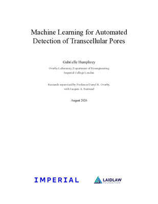 Machine Learning for Automated Detection of Transcellular Pores 