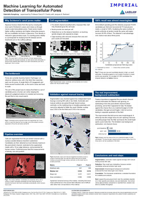 Machine Learning for Automated Detection of Transcellular Pores Poster 