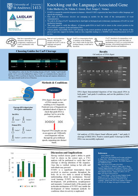 Research Poster: Knocking out the Language-Associated Gene