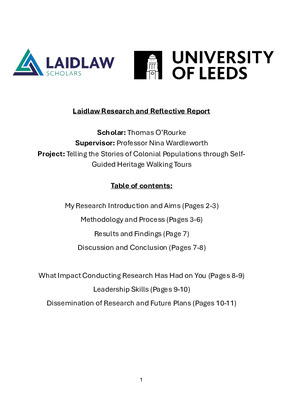 Summer Research Period: My Reflective Report