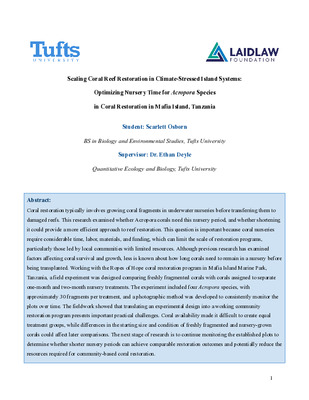 Research Summer Report 