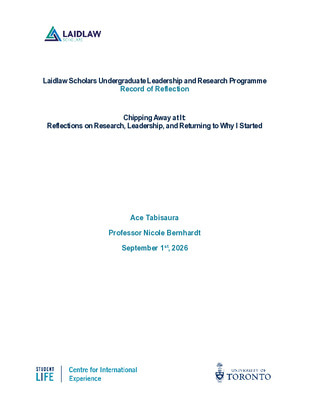 Chipping Away at It: Reflections on Research, Leadership, and Returning to Why I Started