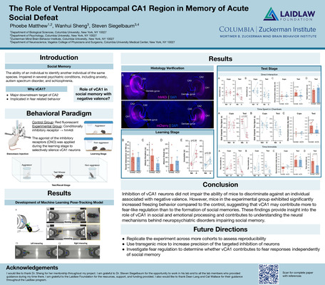 Research Poster - The Role of Ventral Hippocampal CA1 Region in Memory of Acute Social Defeat