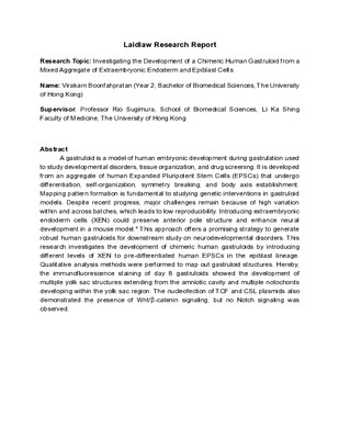Research Essay: Investigating the Development of a Chimeric Human Gastruloid