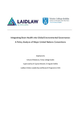 Research Paper: Integrating Brain Health into Global Environmental Governance: A Policy Analysis of Major United Nations Conventions