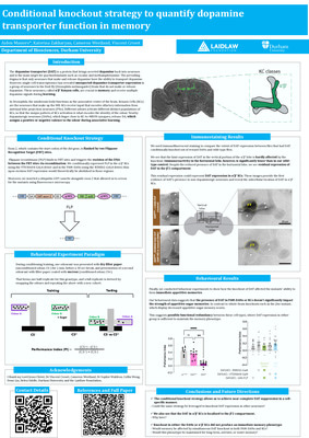 Research Poster - Conditional knockout strategy to quantify dopamine transporter function in memory